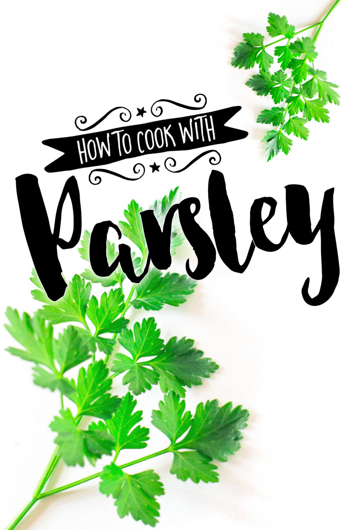 How to Use Parsley in Cooking (like a boss)